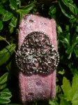 12__Rosa__silber_4e785b2c4c975