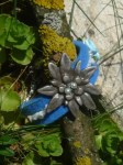 Blaues_Filzarmba_4e14a5a47374c