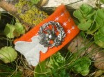 Orange_Trachtena_4e19c45b2b8f0