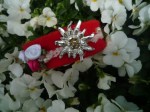 Rotes_Filzarmban_4fb4db6fb5b4b